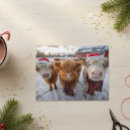 Zoek naar schattige briefkaarten Boerderij