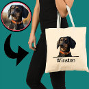 Recherche de teckels accessoires Pour animaux