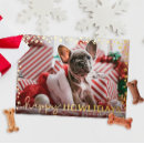 Recherche de lover vœux cartes Pour animaux