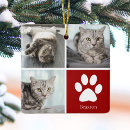 Recherche de le chat ornements Mignon