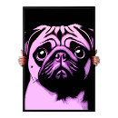 Recherche de races de chien posters Toute personne