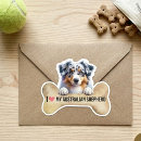 Recherche de bergers autocollants Canin