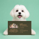Recherche de marche de chien cartes visite Boutique de chiens