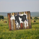 Zoek naar holstein koe posters Melkvee