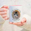 Recherche de propriétaire de chat tasses Cats