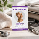 Recherche de assistance Dogs