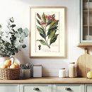 Zoek naar kruidnagel posters Illustratie