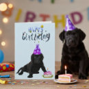Recherche de labrador noir vœux cartes D'anniversaire