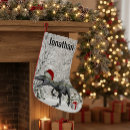 Recherche de dinosaure de noël chaussette de noël Préhistorique