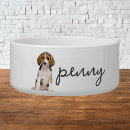 Recherche de chiot de beagle maison deco Dogs