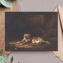Recherche de tigre cartes postales faune