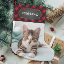 Recherche de pet photo chaussette de noël Animal