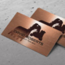 Recherche de cuivre cartes visite Métal