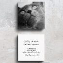 Recherche de marcheur cartes visite Salon de l'animal