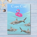 Recherche de humour requin cartes postales Grand requin blanc