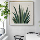 Recherche de agave posters Désert