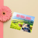 Recherche de vache drôle vœux cartes Pays