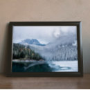 Recherche de hibou neigeux posters Nature