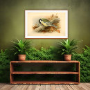 Recherche de aves posters Illustration