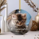 Recherche de photo drôle de chat ornements Définir vilain