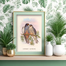 Zoek naar torenvalk posters Vogels