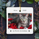 Recherche de white cat ornements Cats