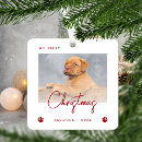 Recherche de chiots mignons ornements Pour animaux