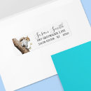 Recherche de squirrel Écureuil