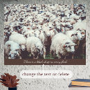 Recherche de moutons noirs posters Ferme