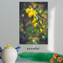 Recherche de le plus doux posters Pour elle