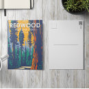 Zoek naar redwood briefkaarten Nationaal park redwood