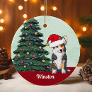 Recherche de corgi décorations de noël Pembroke welsh corgi