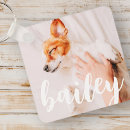 Zoek naar katten accessoires Foto