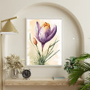 Zoek naar krokus posters Waterverf