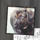Recherche de instagram magnets Mignon