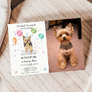 Recherche de yorkshire invitations Laisse pawty