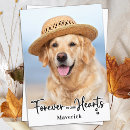 Zoek naar forever in our hearts kaarten Begrafenis