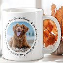 Recherche de sympathie de chat tasses Amoureux des chiens