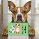 Recherche de chatons cartes visite Boss