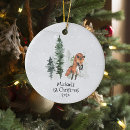 Zoek naar baby vos ornamenten Kerstmis