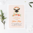 Recherche de carlins invitations Chien