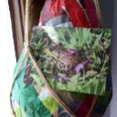 Recherche de crapaud cartes postales Frogance