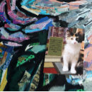 Recherche de je suis désolé cartes postales Chat