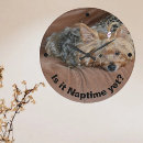 Recherche de yorkshire horloges Chien