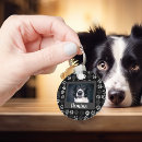 Recherche de chien Noël