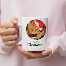 Recherche de propriétaire de chat tasses Cats