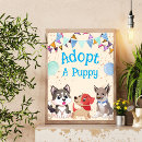 Recherche de adopté Bleu