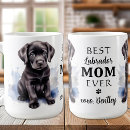 Recherche de labrador noir tasses Black labrador retriever
