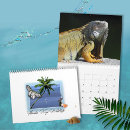 Recherche de de faune calendriers Papillons