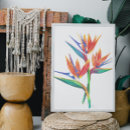 Recherche de dessins crayon posters Coloré